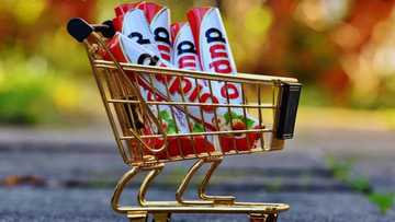 Get the best Black Friday deals at One Day Only online shop