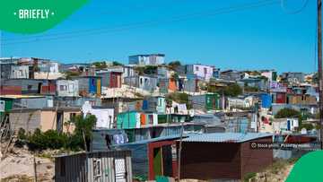 New proposed law could fine South Africans R2 million for inciting land invasions