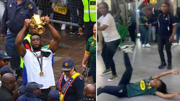 KZN woman's Zulu dance celebrates Springboks' Rugby World Cup win, impressing Mzansi