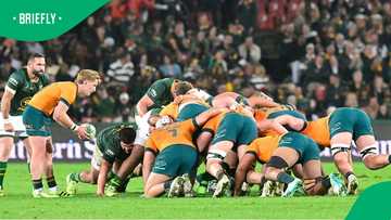 Springboks vs Wallabies: A look at 97 tests of rugby history