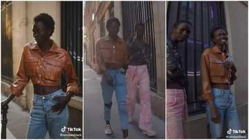 "They are beautiful": Video shows moment man saw 2 tall ladies & begged to take their photos