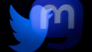 Musk delays Twitter relaunch after fake account frenzy