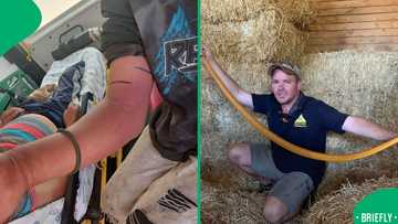 "He killed it": Vanrhynsdorp man gets bitten by a puff adder while collecting cans for an income