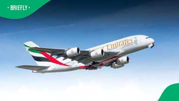 Emirates opens cabin crew recruitment in 3 major South African cities