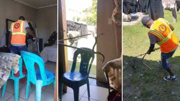 Freaky snake video has Mzansi bust as panicked lady screams “python”: “Needs to watch snakes in the city”