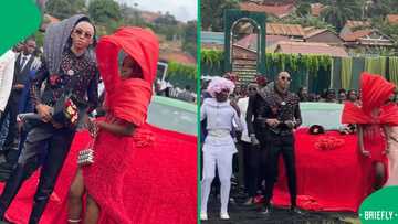 "There's so much going on": Creative learners show off bold prom outfits, SA in disbelief