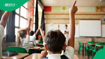 Education Department finds only coloured, African children on waiting lists in Western Cape schools