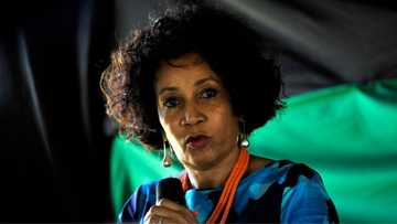 Tourism Minister Lindiwe Sisulu says German tourists are not deterred by murder