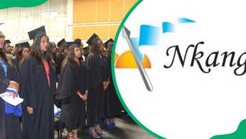 Nkangala TVET College courses, application, documents, contacts