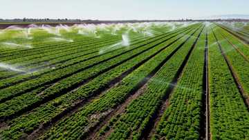 California's desert farmers defend their river rights