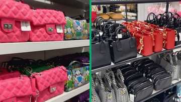 Edgars' trendy collection of handbags sparks frenzy among Mzansi ladies on TikTok