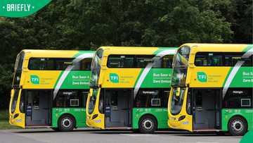 "Thanks for sharing": Mzansi bus drivers in demand in Ireland as Dublin Bus hires nearly 100 locals