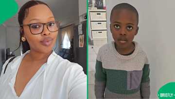 "Hlomla's not playing": Young boy convinces mixed tribe classmates they're all Xhosa, SA in stitches