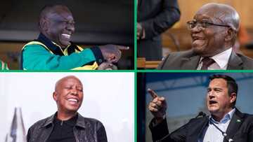 "What would you call it?": SA gives hilarious band names for Ramaphosa, Malema, Zuma and Steenhuisen