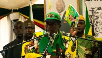 Zanu-PF says SA is Zim’s sister republic, comments by Dr Ramathuba will not sully the relationship between Zim and the ANC