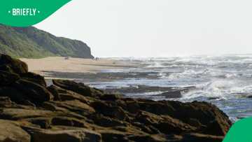 Benoni woman saves 14-year-old boy from rip current at Cape Vidal Beach