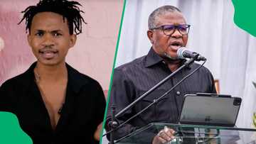 Musa Khawula leaks alleged Madlanga Commission SMS and warns Mbalula, Ze Nxumalo