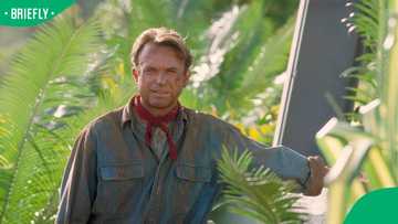 Tragedy as 'Jurassic Park' star Sam Neill dies suddenly at 78, months after beating cancer