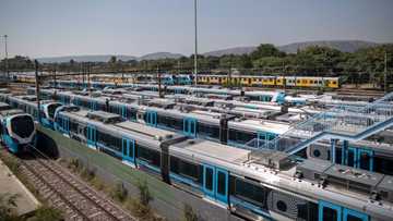 Engineering firm claims taxpayers will pay R346.5 Million for Prasa tenders, Prasa rubbishes claims