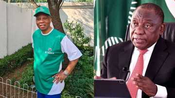 Herman Mashaba to Ramaphosa: Don't increase taxes, "cut the fat" first