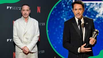 Robert Downey Jr.'s net worth: Marvel’s biggest earner