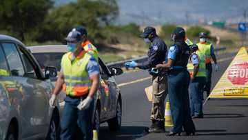 Mzansi left shocked after overloaded truck with 106 dead bodies was found on the N2 highway