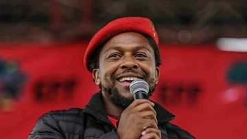 Ndlozi steps down as EFF spokesperson: New head of political education