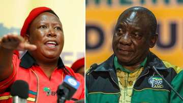 EFF leader Julius Malema says Cyril Ramaphosa will not finish his 2nd term: “We are going to fight”