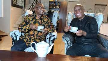 EFF Shares Pics of Malema and Zuma's "Tea Party" with Mzansi