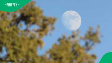 Belville woman snaps photo of lunar eclipse in Cape Town