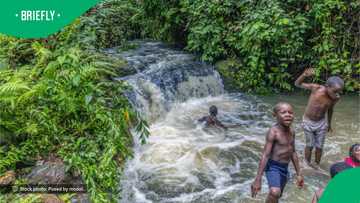 "What a risk nkos'yami": Eastern Cape villagers forced to cross river inside drum in video, SA outraged
