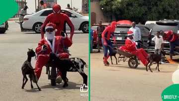 Spider-Man and Santa Claus take over an African street with a grand entrance in the video