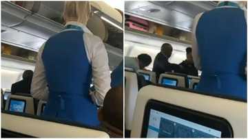 Viral video of elderly African man shouting at US air hostess