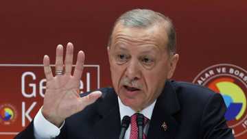 Erdogan hints at rate hike after election victory