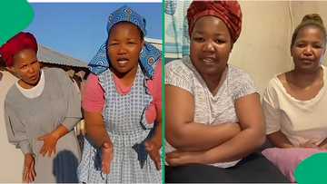 Eastern Cape makotis grossed out by pickles, hilarious video leaves SA busting