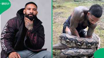 "Reasons why men die early": SA reacts to man wrestling massive snake in intense video