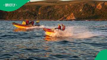 George surfer rescued after being swept out to sea in Buffels Bay drama