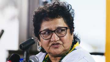 ANC's Jessie Duarte asks supporters not to write off the ruling party because of money issues