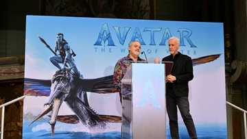 'Avatar' sequel now ranks fourth all-time in global sales