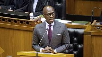 Malusi Gigaba denies receiving cash from Gupta family, takes shots at Mngoma