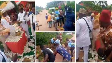 Groom's friends 'scatter' his wedding, stone people cash, throw money into the bush in viral video, many react