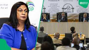 Andrea Johnson blasts Madlanga Commission in leaked phone call, calls proceedings 'unprofessional'