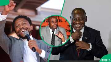 Mbuyiseni Ndlozi reacts after Ramaphosa suspends Andrew Chauke, SA questions: "Are you looking for work?”