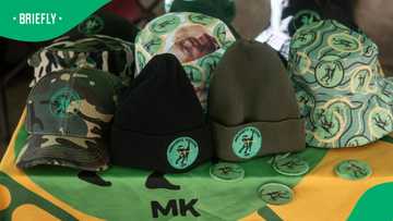 MK Party now most targeted by political assassinations, expert tells SA commission