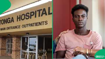 Nurses mistreat patient at Mpumalanga hospital, the DA calls for investigation