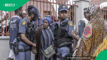 Limpopo SAPS intercepts bus carrying 48 undocumented foreign nationals