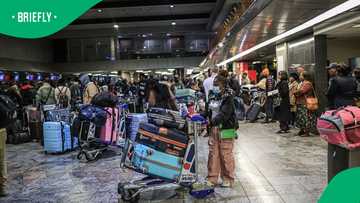 Border Management Authority explains why 5 Ghanaians were blocked from leaving SA