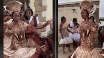 Woman's traditional wedding dress with cow skin bodice goes TikTok viral, Mzansi blown away by dramatic gown