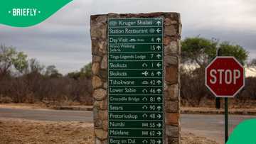 Arrest made in fatal Kruger National Park shooting of Canadian tourist