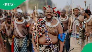 King Mswati II bodyguard commits suicide at 40th coronation anniversary